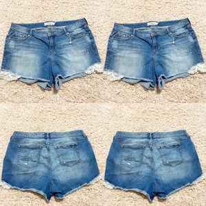 Torrid 20 jean shorts with lace PLUS SIZE